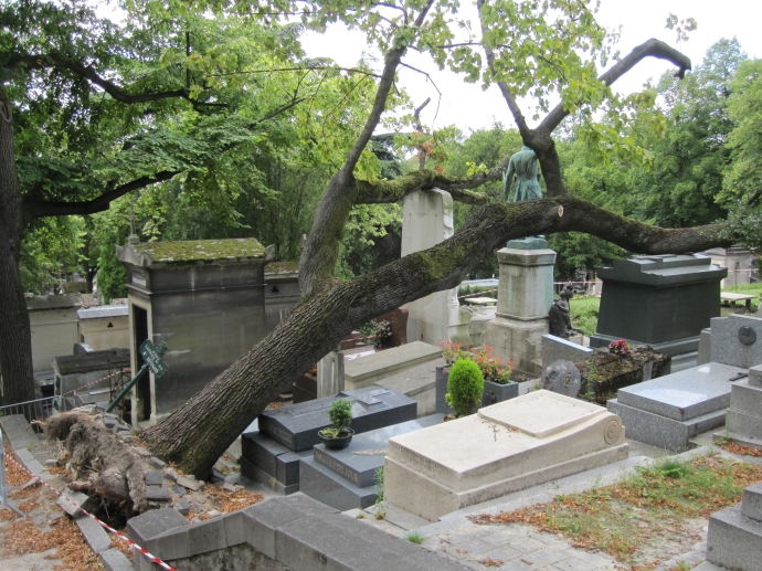 This tree had fallen over and luckily, missed the bronze statue of a soldier on the grave in between the two it fell on! 